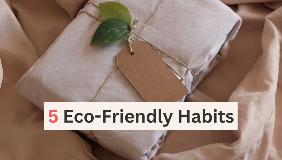 "5 Eco-Friendly Habits You Should Adopt in 2023 to Save the Planet and Your Wallet" Bijou Her