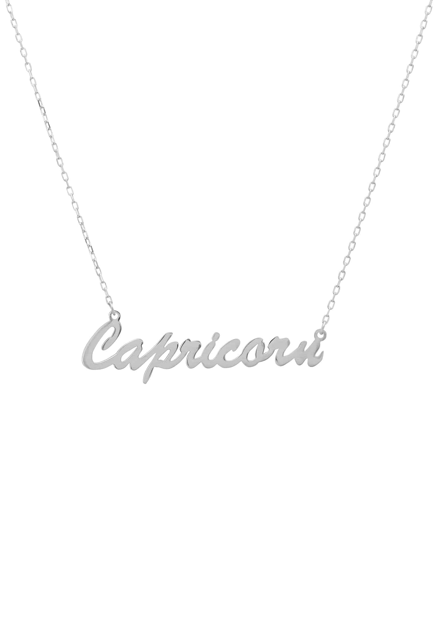 Capricorn Zodiac Name Necklace in Silver: Personalized Birthday Gift Idea Bijou Her