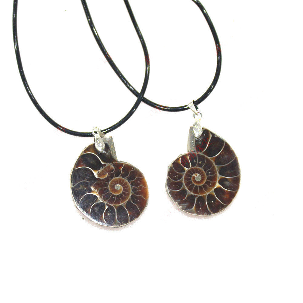 Natural Conch Fossil Pendant Necklace - 0 - Bijou Her - Color -  - 