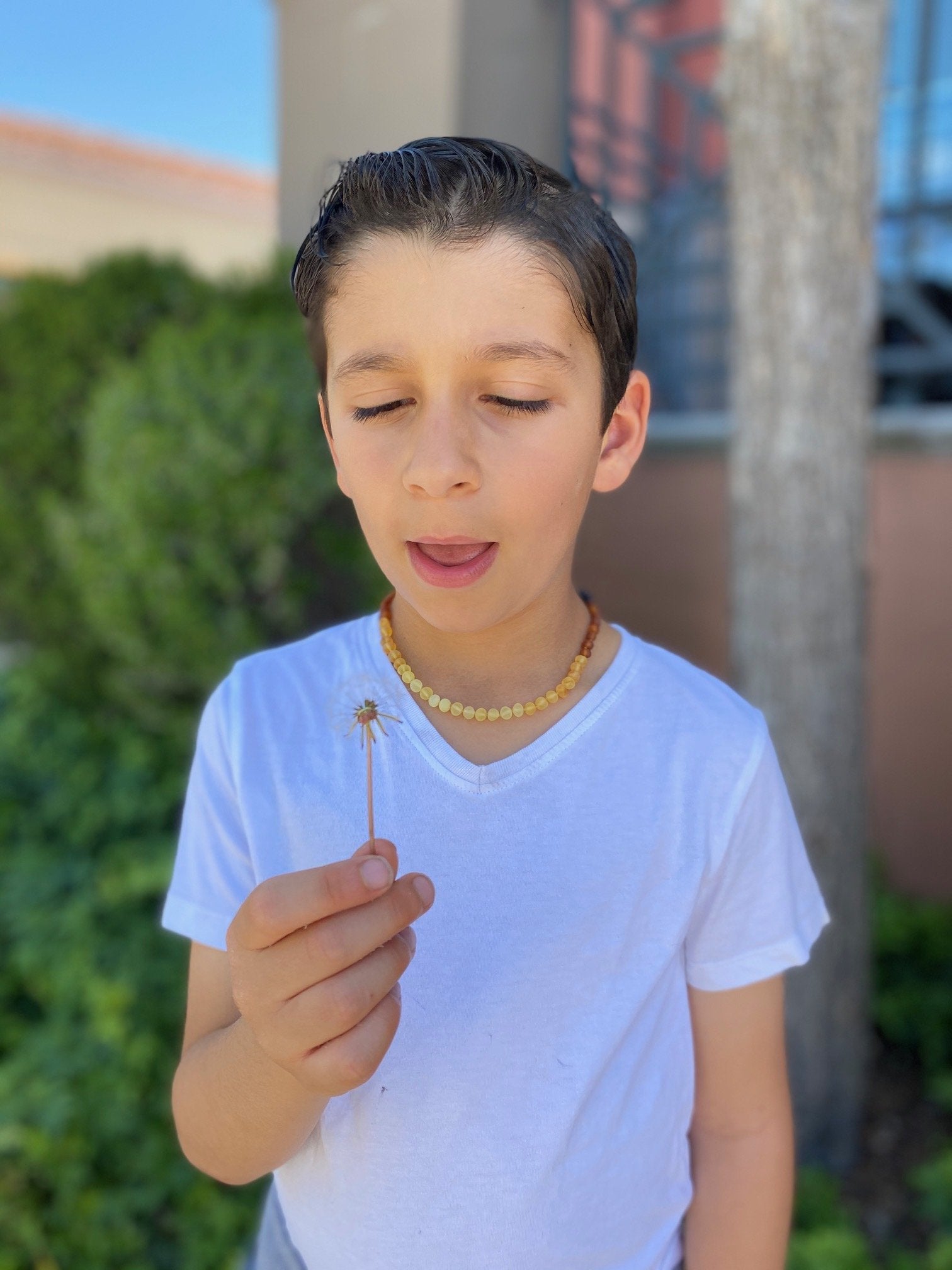 Raw Amber Necklace for Kids: Boost Immune System, Relieve Sinus & Headaches - Jewelry & Watches - Bijou Her -  -  - 