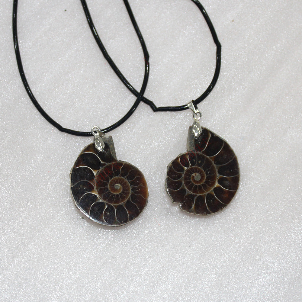 Natural Conch Fossil Pendant Necklace - 0 - Bijou Her -  -  - 