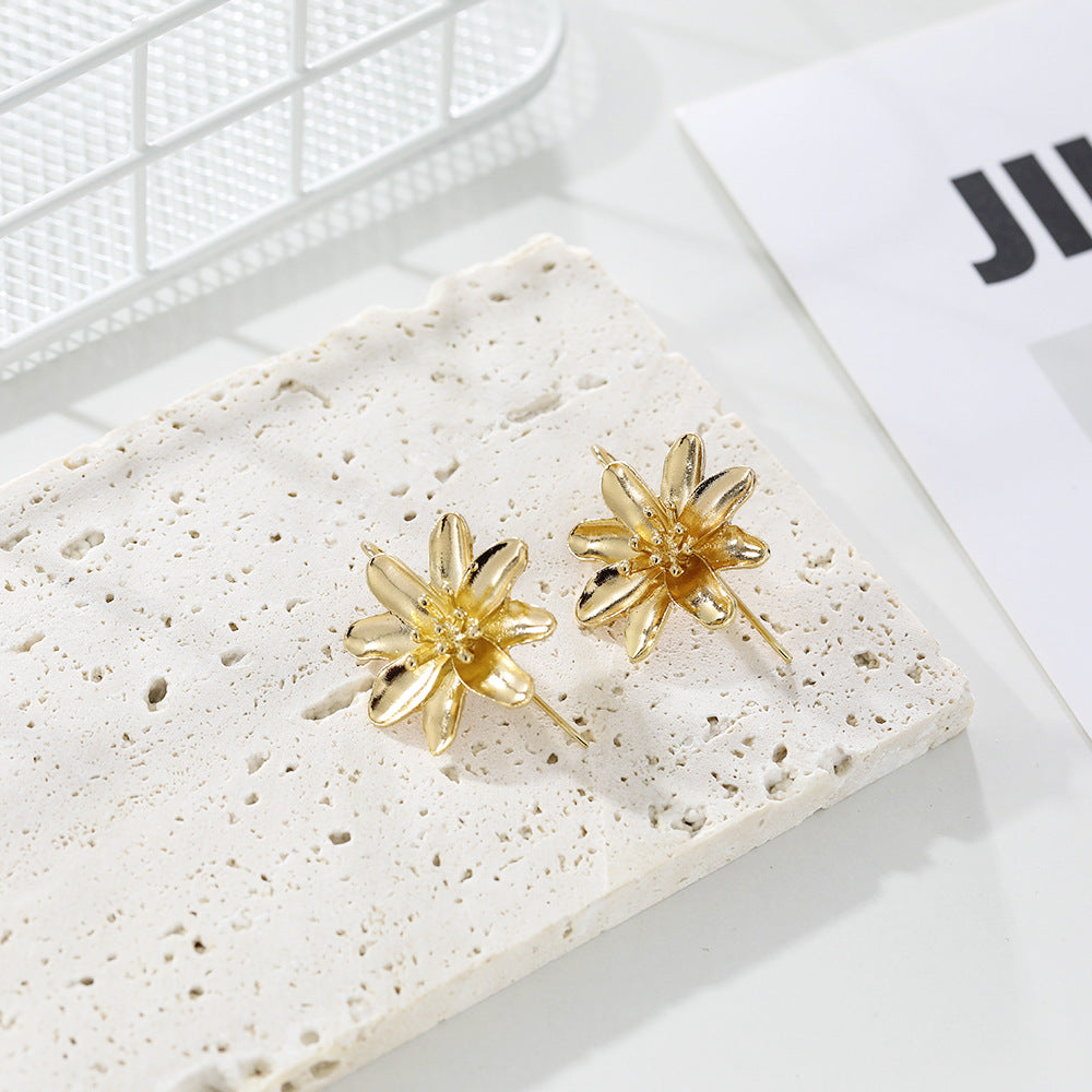 Stylish And Simple Metal Geometric Irregular Earrings - 0 - Bijou Her -  -  - 